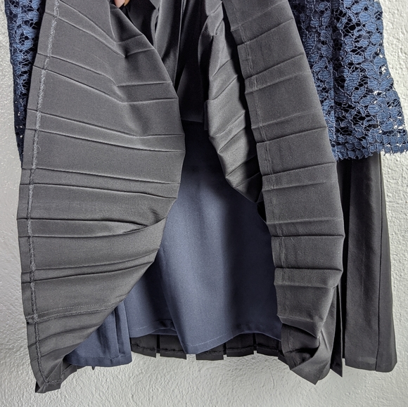 Rebecca Taylor Sleeveless Lace Miz Pleat Dress - Picture 14 of 16